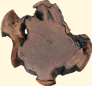 Mayo Bog Wood